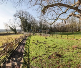 Bracken, Morpeth