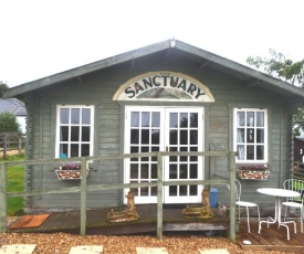 Owls Nest at an Animal Sanctuary